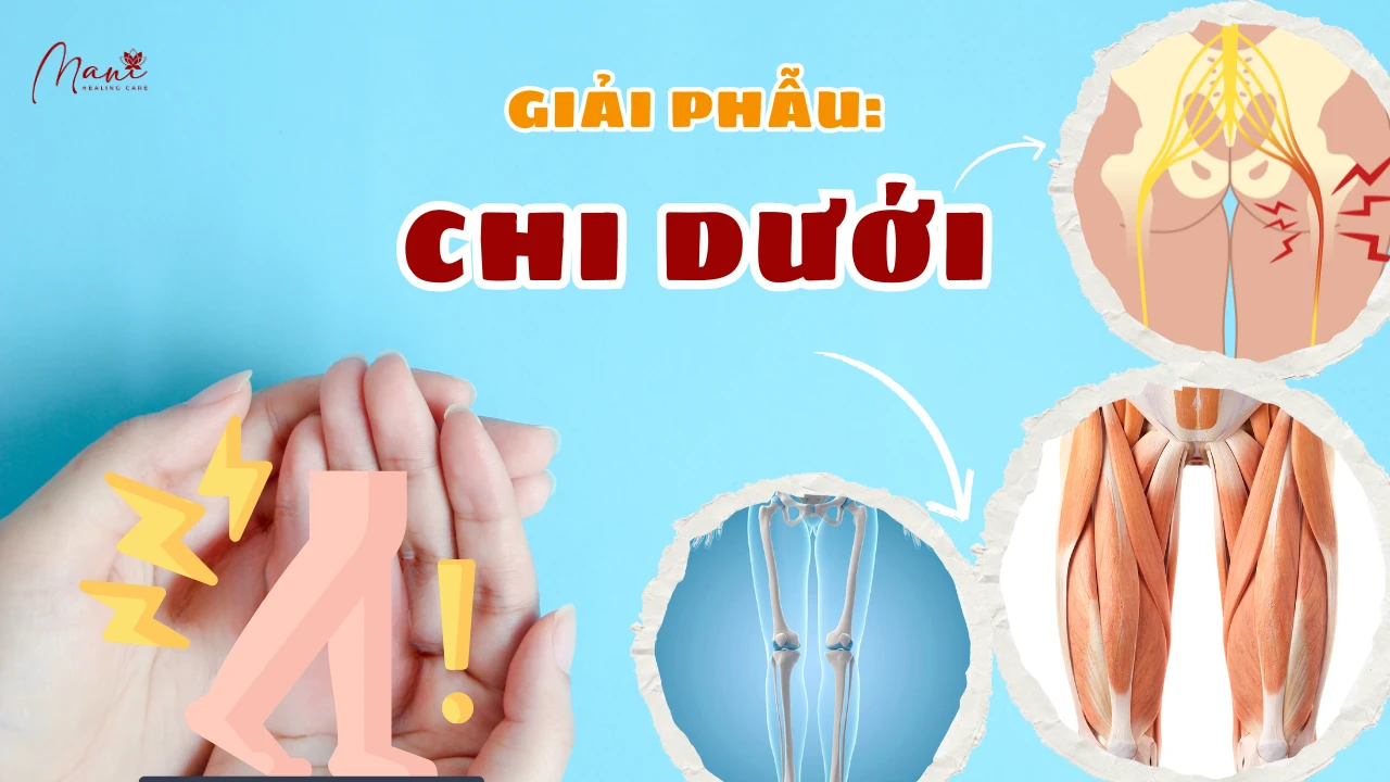 Ảnh 1